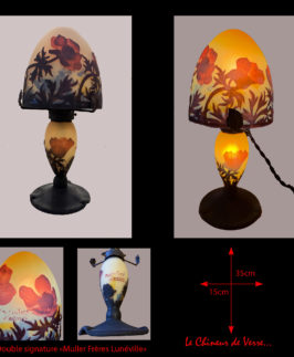 Muller Frères : Lampe à décor d'anémones